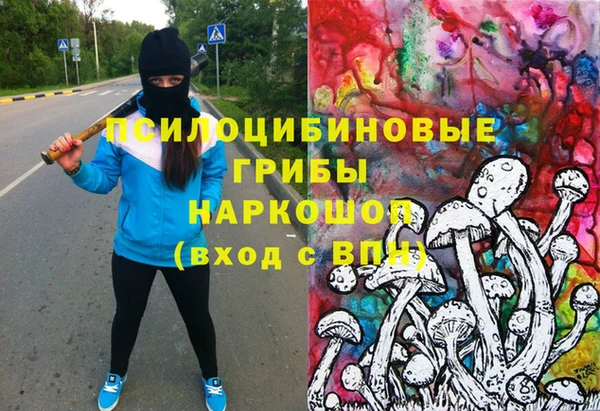сатива Алексеевка